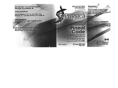 Pineal Code (Pineal Code)